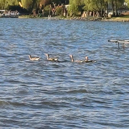 Gosciniec Twoje Mazury Nad Jeziorem Sniardwy Tuz Obok Plazy Nowe Guty Esterno foto