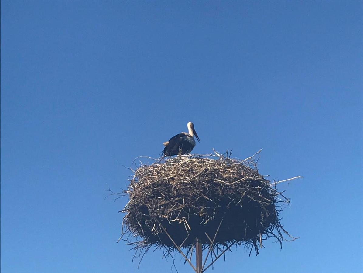 Gosciniec Twoje Mazury Nad Jeziorem Sniardwy Tuz Obok Plazy Nowe Guty Esterno foto